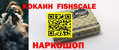 твердый Кингисепп