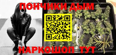 твердый Кингисепп