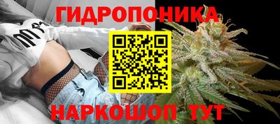 эйфоретик Кимры