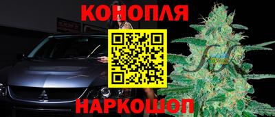 твердый Кингисепп