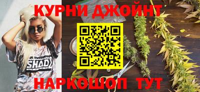 твердый Кингисепп