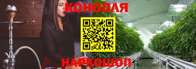 эйфоретик Кимры