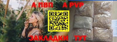 твердый Кингисепп
