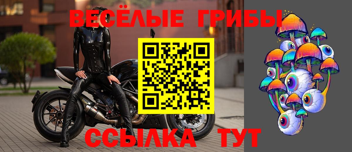 Тосно  Псилоцибиновые грибы прущие грибы  Вход с VPN 